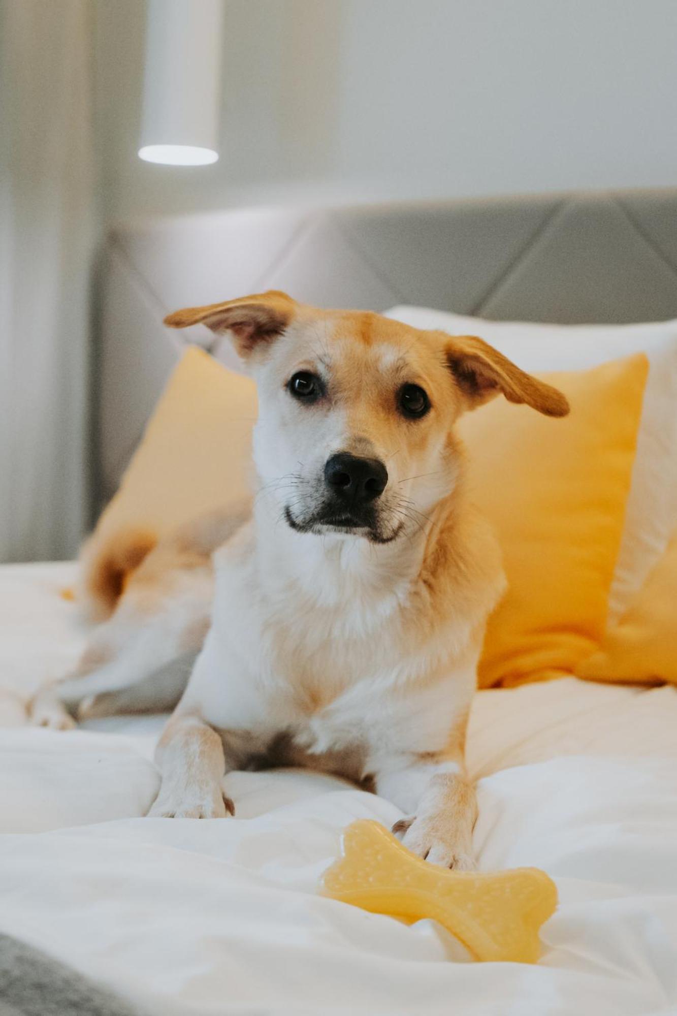 Ibis Styles Отель